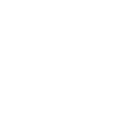 Knight